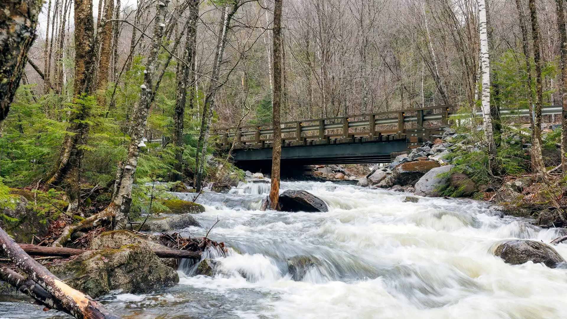 La Balade Enchantée - Un Clic sur la Nature