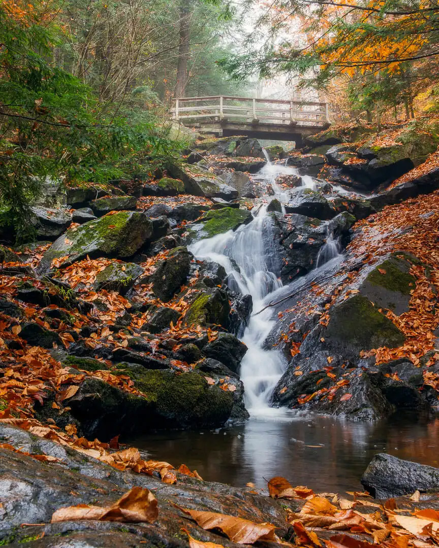 La Balade Enchantée - Un Clic sur la Nature